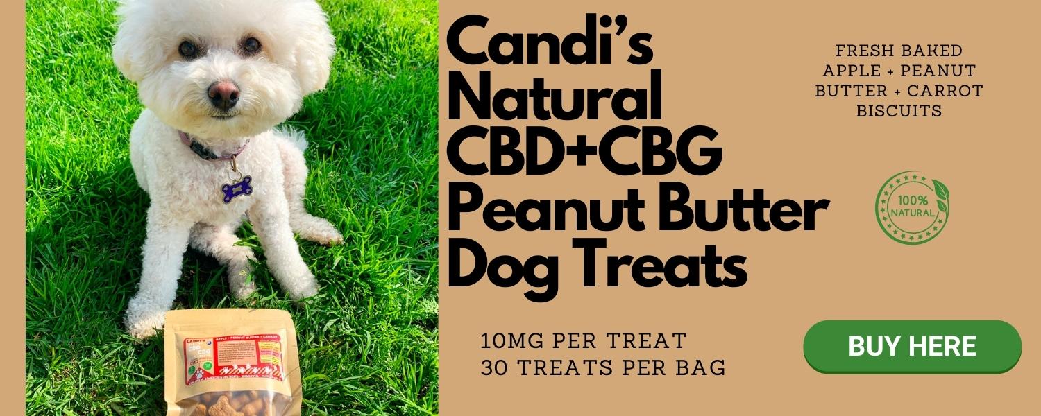 CBD Dog Treats for Calming Support